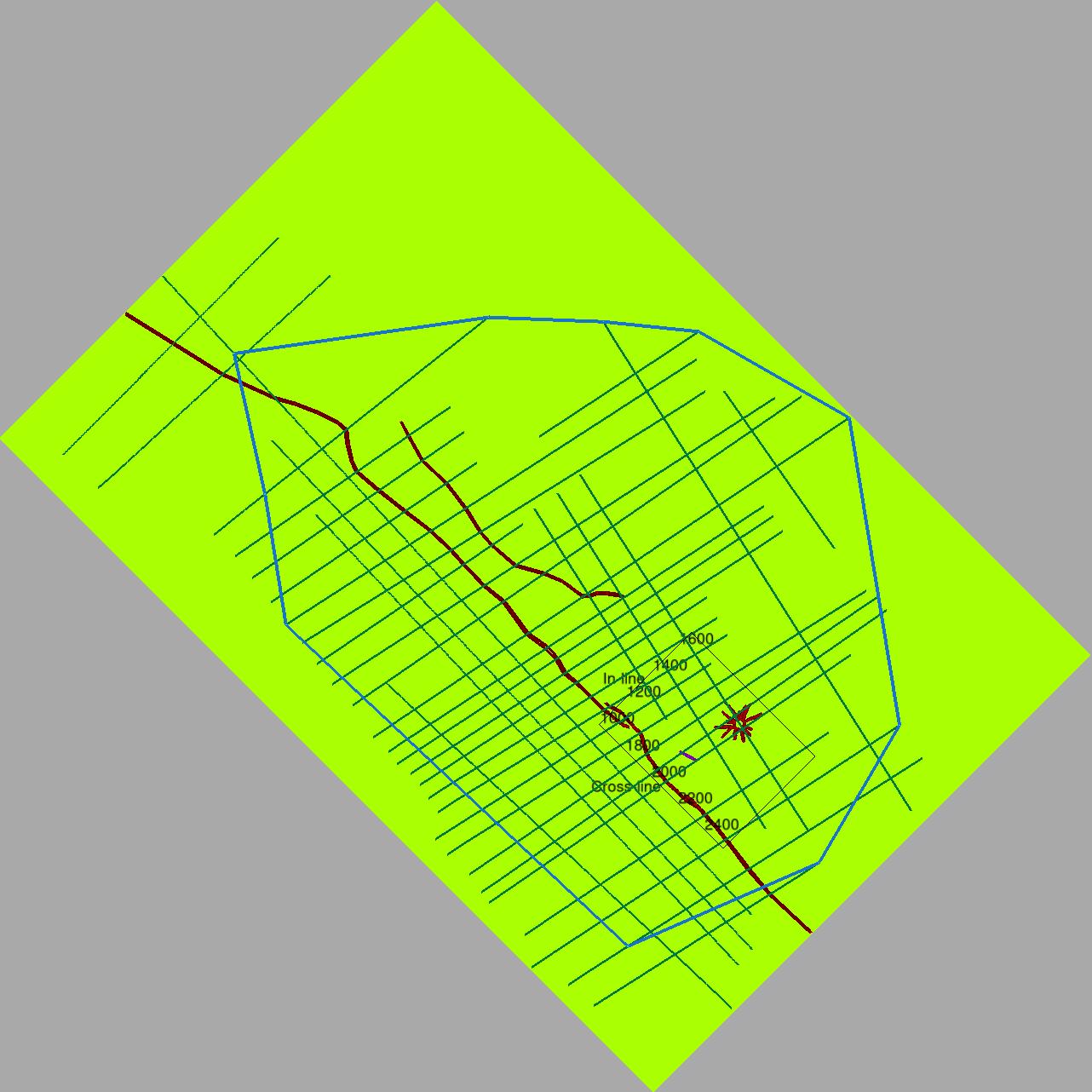 Example of an horizon created by the plugin and various polygons drawn across the extent of the 2D and 3D seismic data in the project