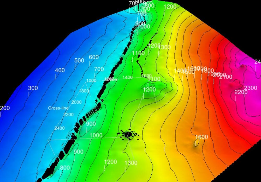 Example of Local Thin Plate Spline gridding