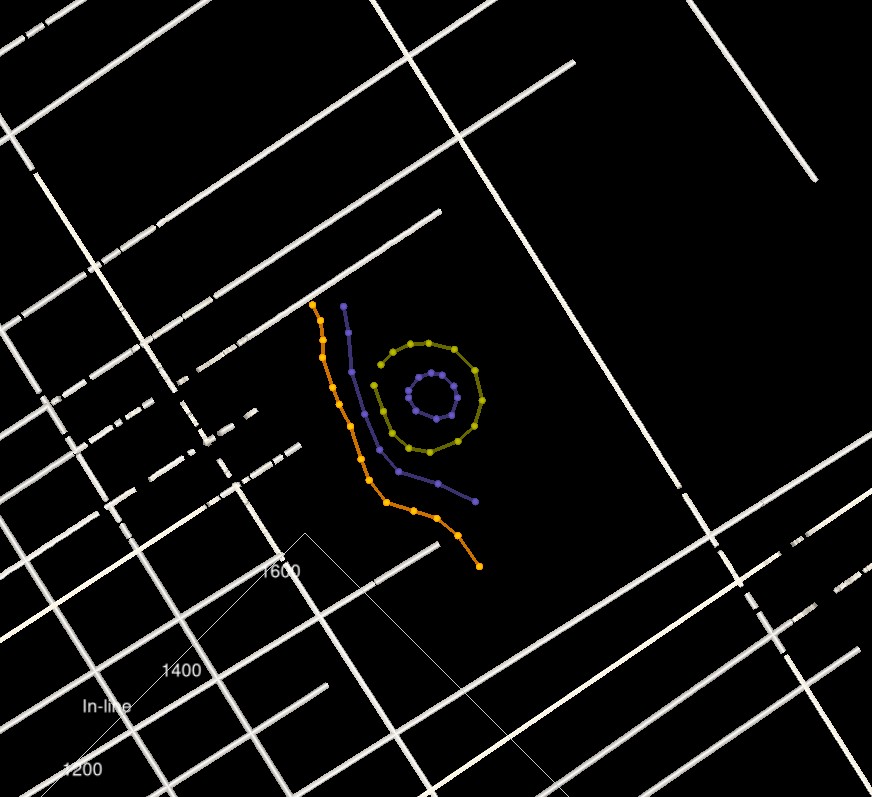 Example of some polylines drawn in a gap in the seismic coverage to guide subsequent gridding